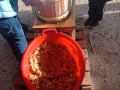 IMG-20211109-WA0009.jpg