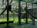 IMG-20210629-WA0031.jpg